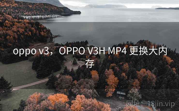 oppo v3，OPPO V3H MP4 更换大内存
