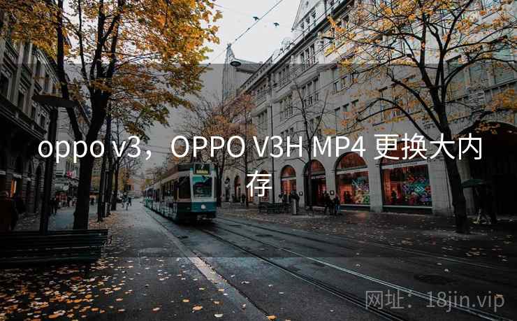 oppo v3，OPPO V3H MP4 更换大内存