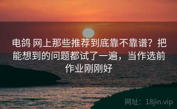 电鸽 网上那些推荐到底靠不靠谱?把能想到的问题都试了一遍,当作选前作业刚刚好 电鸽 网上那些推荐到底靠不靠谱?把能想到的问题都试了一遍,当作选前作业刚刚好