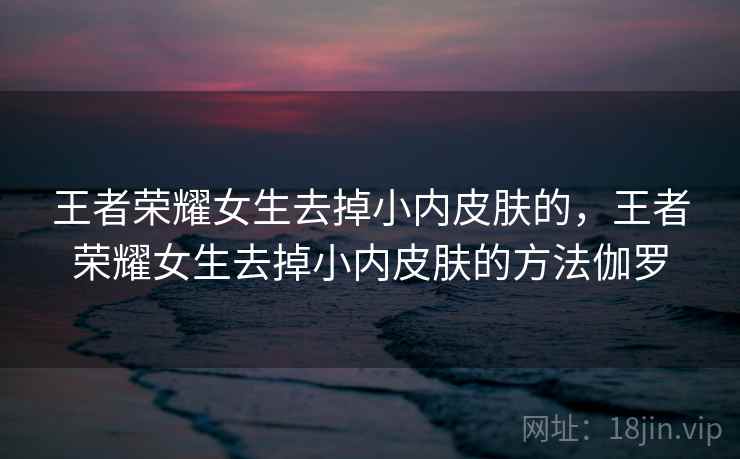 王者荣耀女生去掉小内皮肤的，王者荣耀女生去掉小内皮肤的方法伽罗