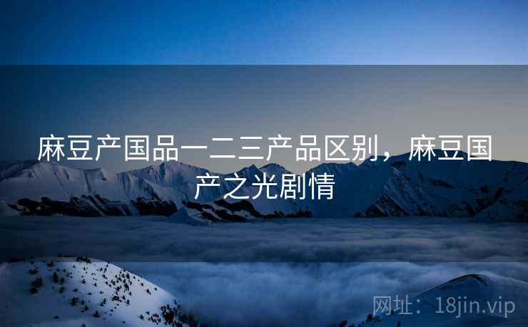 麻豆产国品一二三产品区别，麻豆国产之光剧情