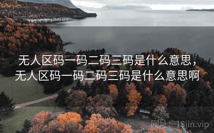 无人区码一码二码三码是什么意思，无人区码一码二码三码是什么意思啊