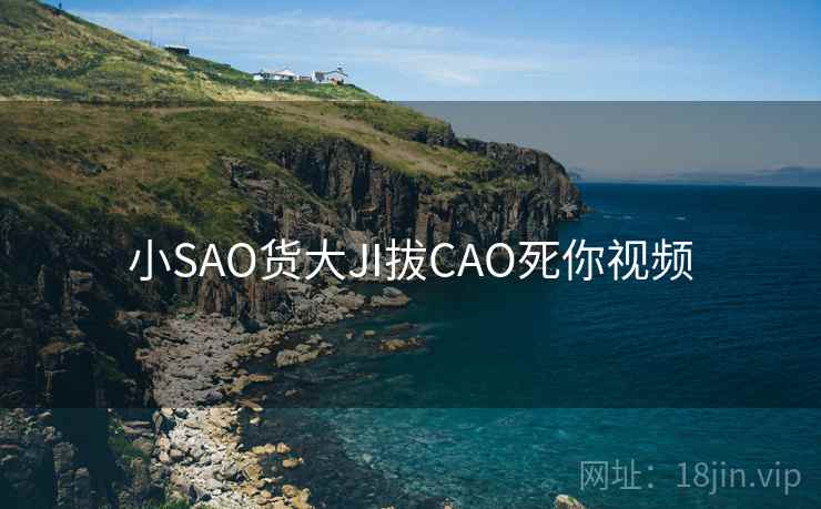 小SAO货大JI拔CAO死你视频