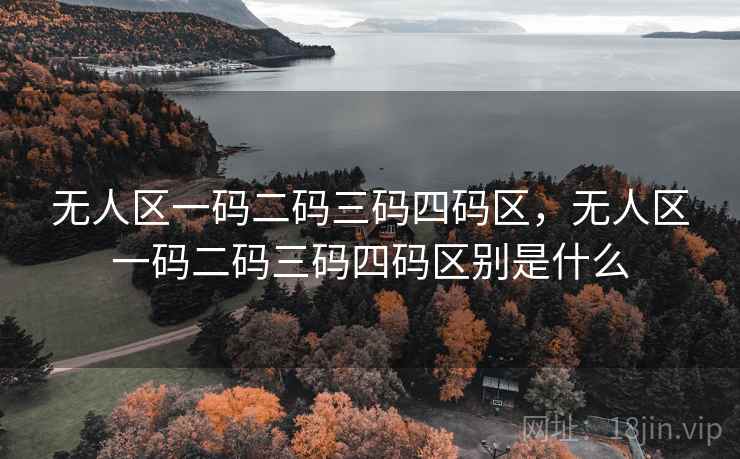 无人区一码二码三码四码区，无人区一码二码三码四码区别是什么