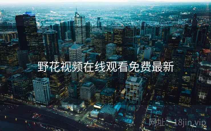 野花视频在线观看免费最新