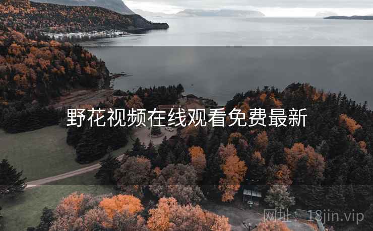 野花视频在线观看免费最新